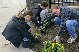 picture-planting